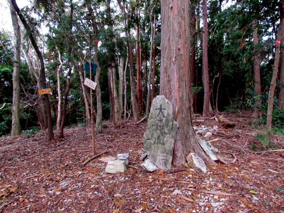 ��X�R�R��